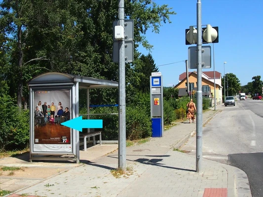 491516